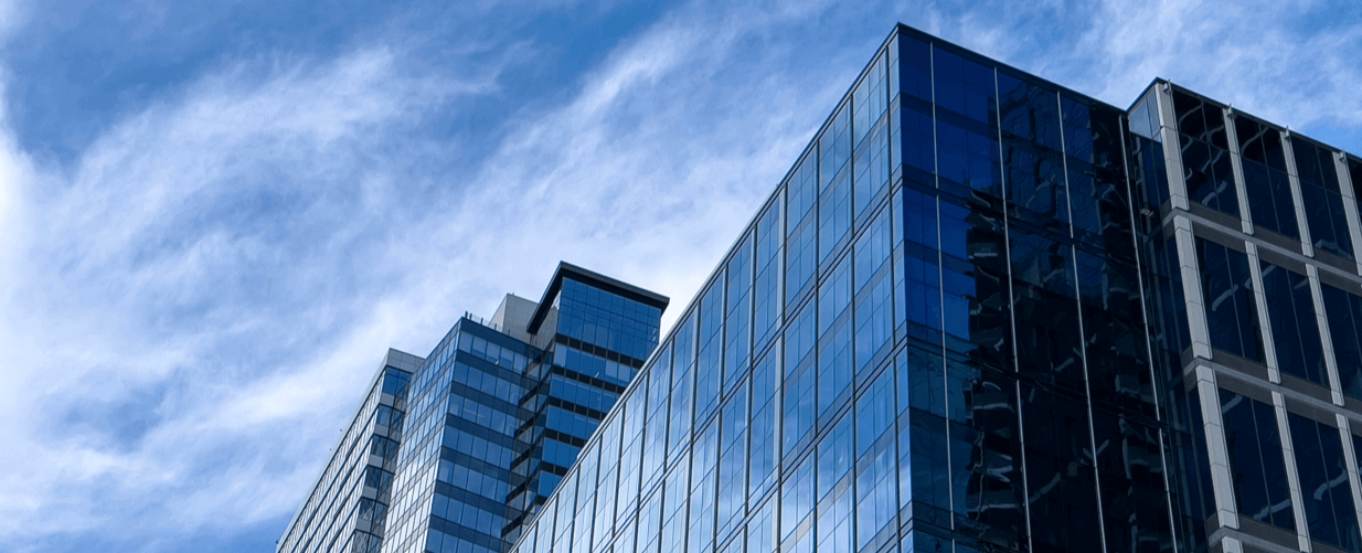 Company Profile